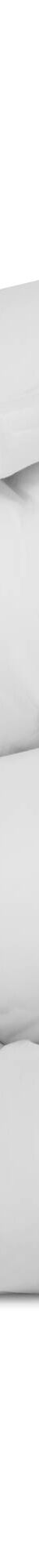 Couette Dacron® Eco - 200g/m2 (blanc) Couette Dacron® Eco - 200g/m2 (blanc)